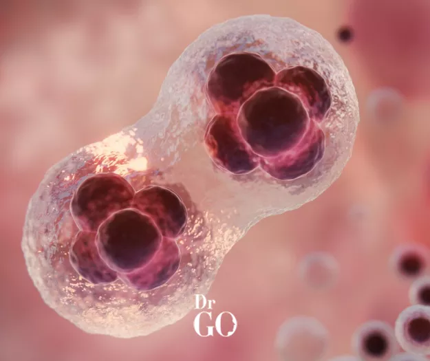 Kök Hücre Tedavisi Kimler İçin Uygundur?