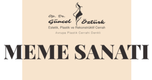 memesanati_logo